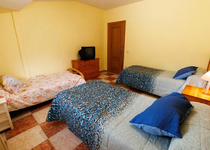 Vut Jaci Y Cipri Navalmoral